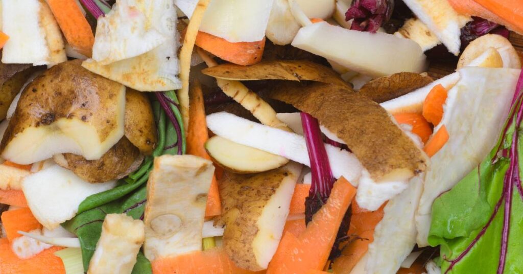 Obierki od warzyw – czy wyrzucać? Co można z nimi zrobić?